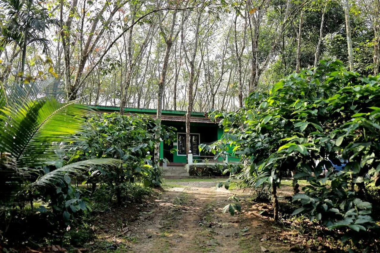 Green Wayanad Homestay Batheri