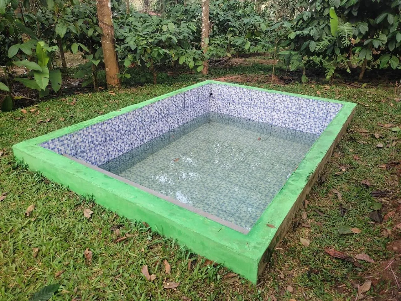 Bauernhof Green Wayanad Homestay Batheri